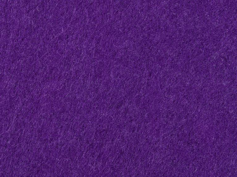 allergen free carpet maintenance tips